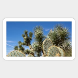 cactus Sticker